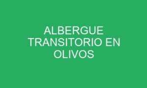 ALBERGUE TRANSITORIO EN OLIVOS